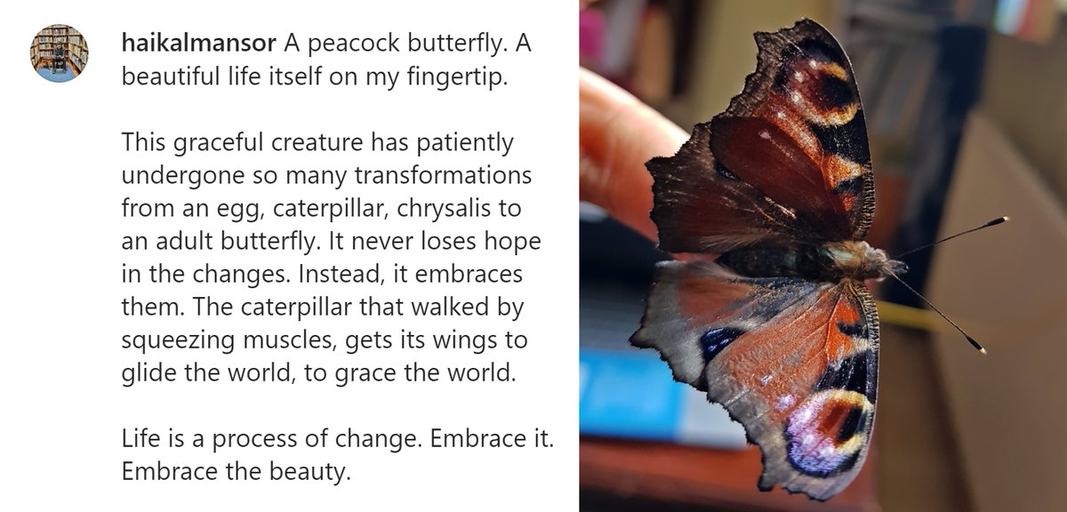 The caterpillar that walked by squeezing muscles, gets its wings to glide the world, to grace the world.

Life is a process of change. Embrace it. Embrace the beauty.
