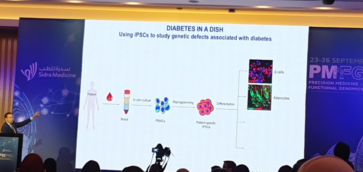 hananqasem1's tweet photo. A valuable talk by Dr. Essam on induced pluripotent stem cells as a platform for precision medicine in diabetes. (#PMFG, Doha, Qatar)
@AbdelalimEM
@SidraMedicine
@QBRI12
@HBKU https://t.co/nuA1lUlom0