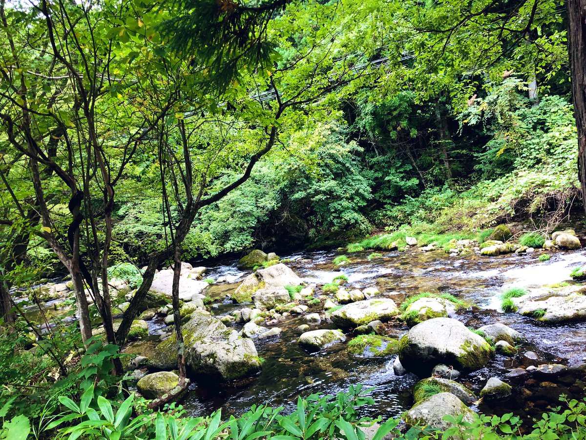 bye_ASS0822's tweet photo. 超絶インドア超絶虫苦手な私が

🌳やまのなかにいる🌳

けどなかなか良きでした、デイキャンプ（初���⛺️ https://t.co/xQUlI4E5JB