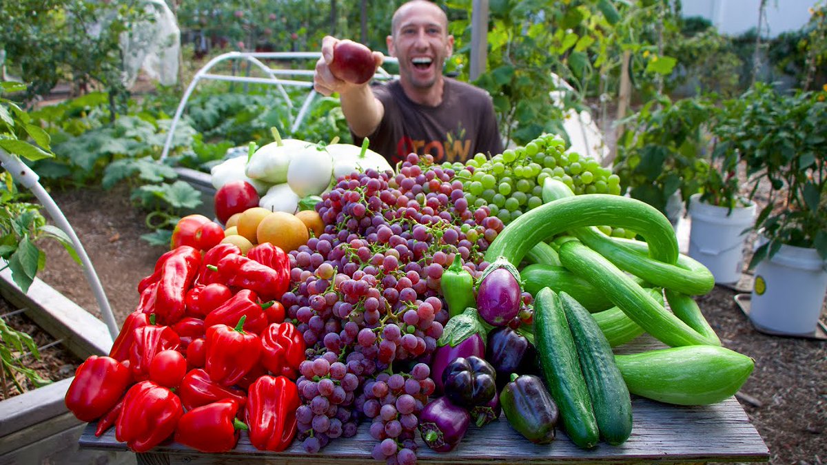AllForGardening's tweet photo. #James #Prigioni: #Wonderful #Fall #Garden ...
#Apples #Blueberries #Cucumbers #EpicGardening #GardenAnswer
https://t.co/xO41cswtlc https://t.co/qhBY4nVRuV