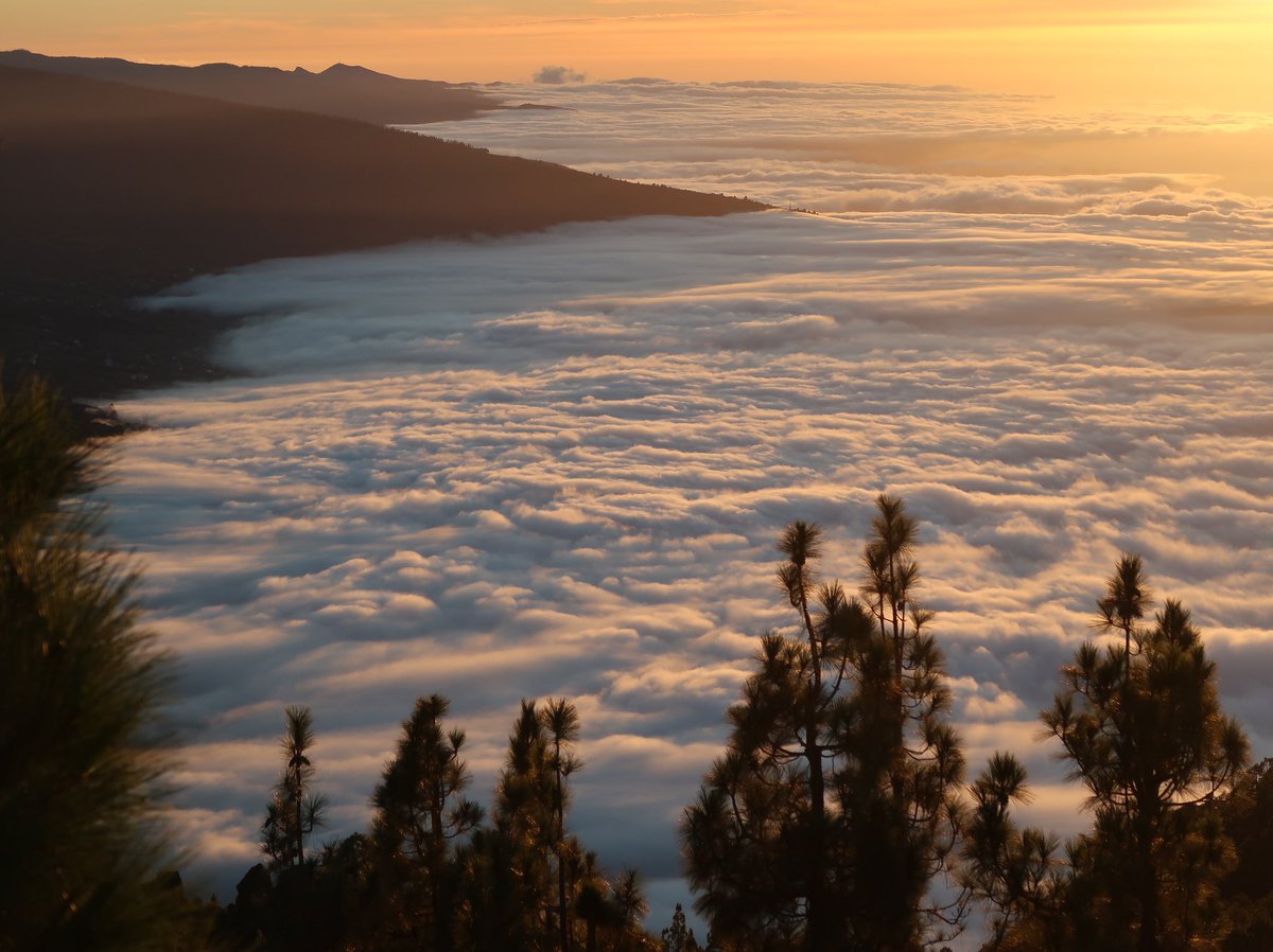 Victorllodra's tweet photo. El mar de nubes en Tenerife https://t.co/8qU600Pw0y