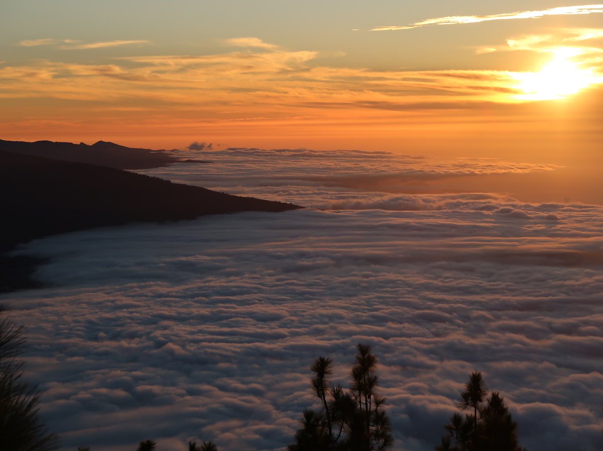 Victorllodra's tweet photo. El mar de nubes en Tenerife https://t.co/8qU600Pw0y