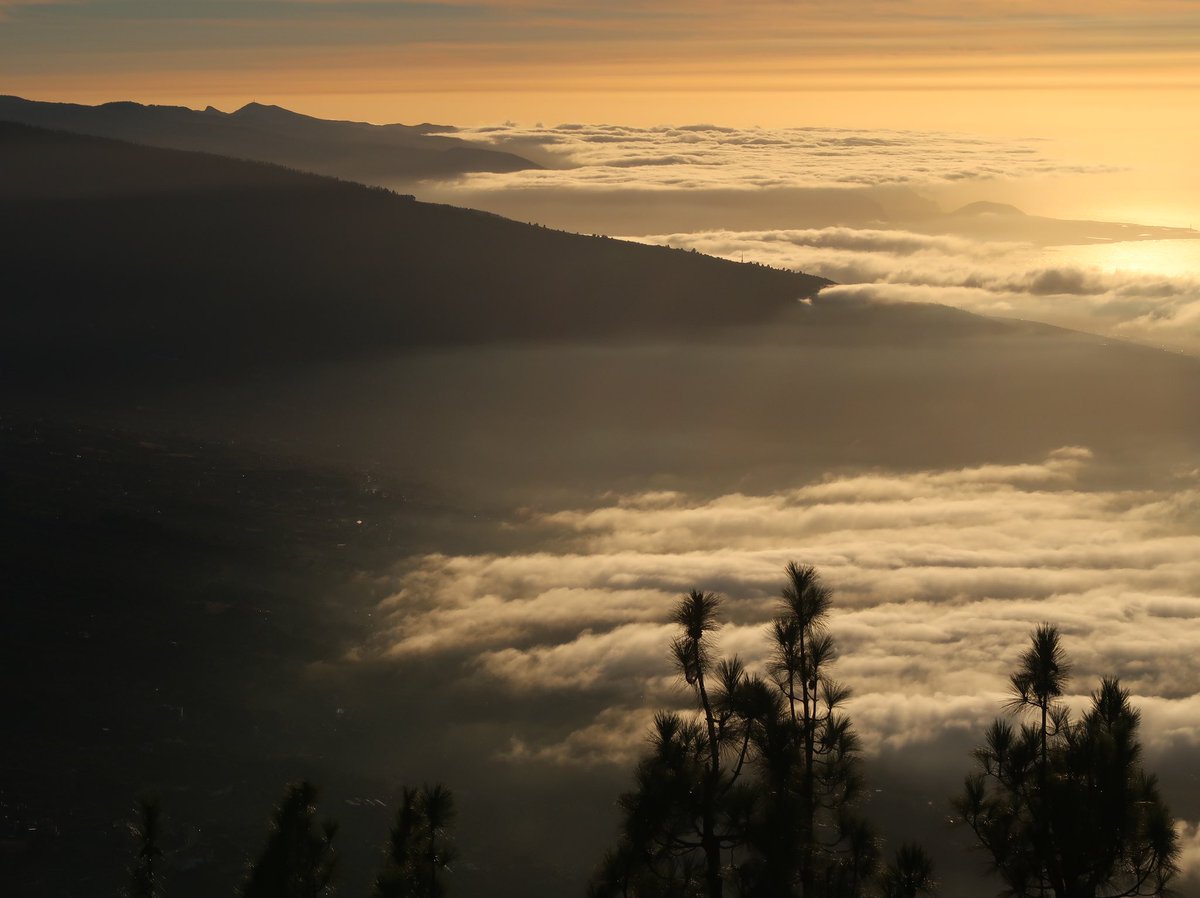 Victorllodra's tweet photo. El mar de nubes en Tenerife https://t.co/8qU600Pw0y