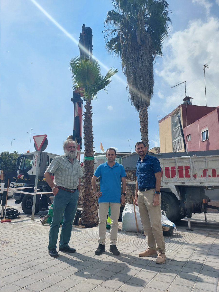 sergicampillo_'s tweet photo. 🌳👌🏽 Comencem la plantació dels 1.300 nous arbres i palmeres a 13 districtes de #València: #Campanar, #PoblatsMarítims, #CaminsalGrau, #Algirós, #Benimaclet, #Rascanya, #Benicalap, #PoblesdelNord, #Patraix, #Jesús, #QuatreCarreres, l'#Olivereta i #PoblesdelNord https://t.co/St6qET8V8S
