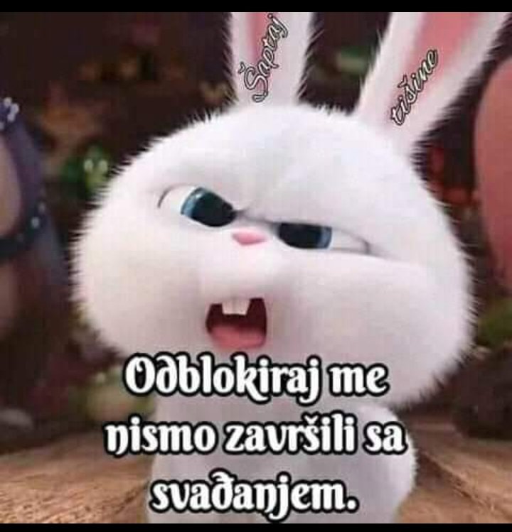 Ne traži me kada odem...zbogom!