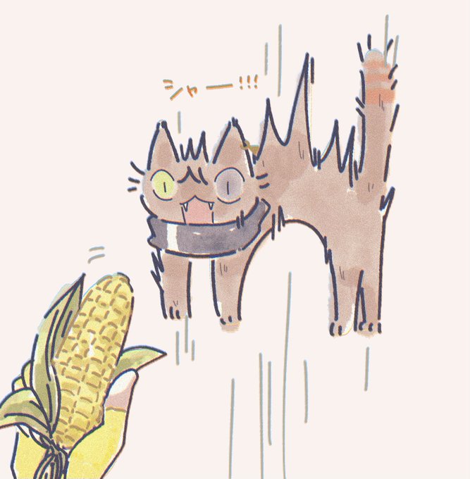 「corn holding」 illustration images(Latest)