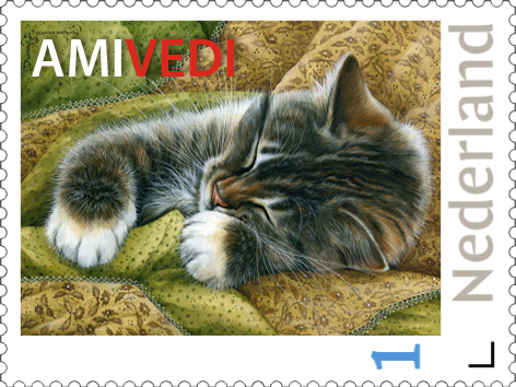 Amivedi's tweet photo. Eigenaar gevonden.
Ik had mijn kat laten chippen door de dierenambulance Hoorn. Door het chippen is het thuisadres gevonden. Chip dus altijd je huisdier.
En zorg dat er met de warmte water en eten staat bij je huis. #Amivedi #gevonden #vermist #vacatures #voorzitter #reageer https://t.co/8KdRqzsJc7