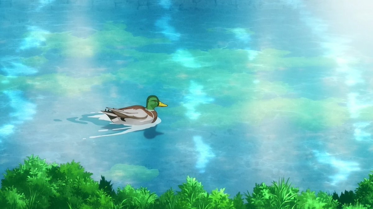 emyj_'s tweet photo. River Colneにかかる小さな橋
河面では、鴨や白鳥も見られます🦆🦢
こいつら、餌をやるとめっちゃ食いついてきますw
#kinmosa #きんモザ聖地巡礼 #rivercolne #smallbridge https://t.co/RvSXSUup33