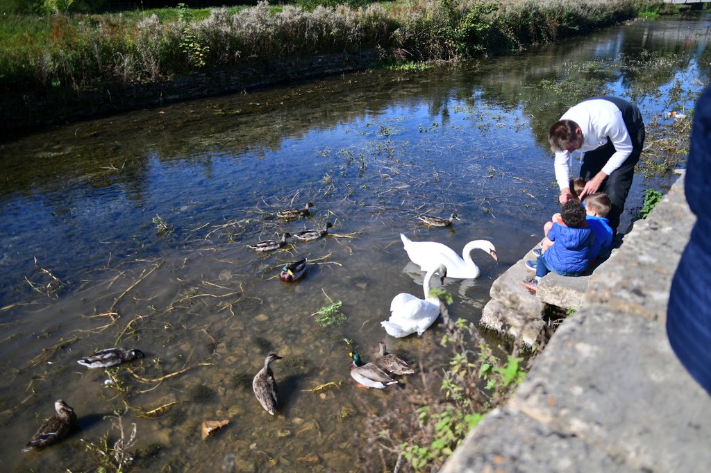 emyj_'s tweet photo. River Colneにかかる小さな橋
河面では、鴨や白鳥も見られます🦆🦢
こいつら、餌をやるとめっちゃ食いついてきますw
#kinmosa #きんモザ聖地巡礼 #rivercolne #smallbridge https://t.co/RvSXSUup33