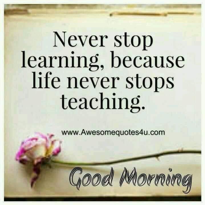 dintya15's tweet photo. A quality for every VLE https://t.co/qFWu8wBXZX