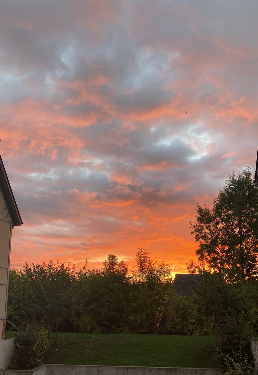 Marie_Rohaut's tweet photo. Rise and shine Deauville ! Last Sunday before the Arc Weekend to get our runners ready … excitement is rising !! #TeamRouget https://t.co/wu94CSHfmq