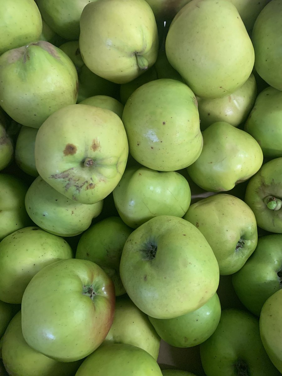 These photos sum up our autumn. #producer #madeinscotland #scottishfood #apples #brambles #chutney #xmas2022