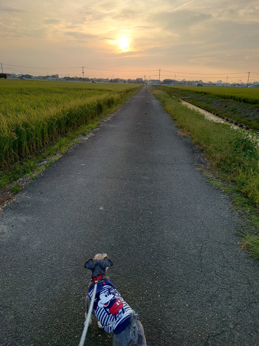 tomy6969🐎🤠💫 tweet media