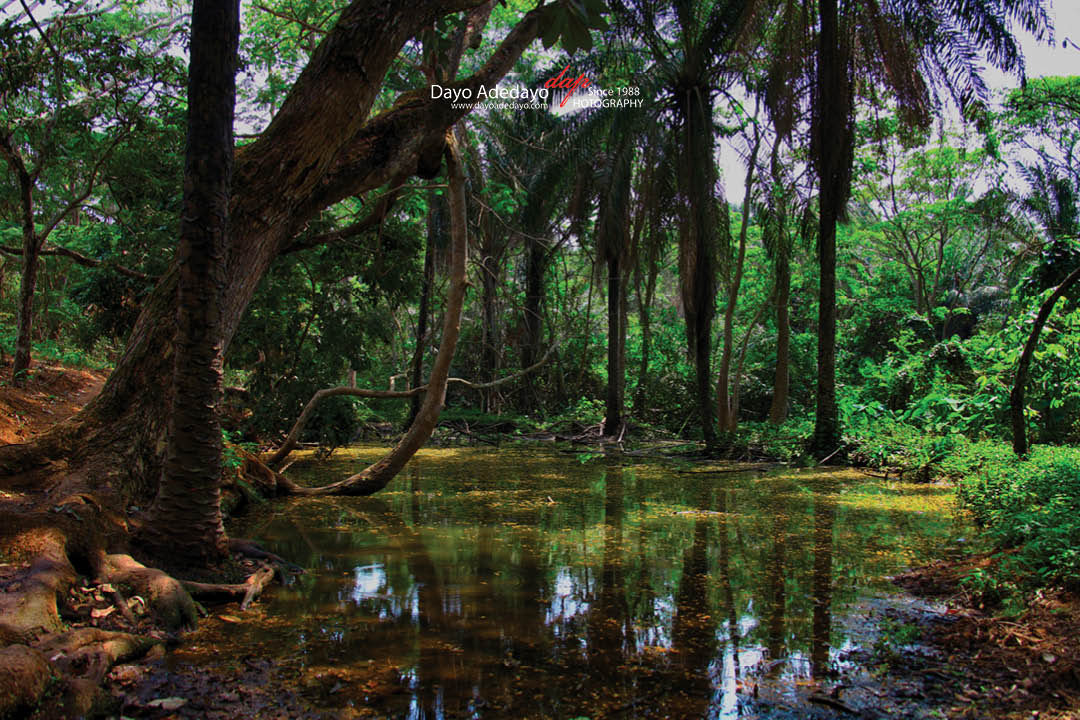 𝐒𝐨𝐠𝐢𝐝𝐢 𝐋𝐚𝐤𝐞, 𝐀𝐰𝐞, 𝐎𝐲𝐨 𝐒𝐭𝐚𝐭𝐞
There are several myths across Nigeria. It is my dream to have all recorded for generations yet unborn before they are lost to modernity. Sogidi Lake, is mysterious, sacred and mythical.

May Nigeria succeed.