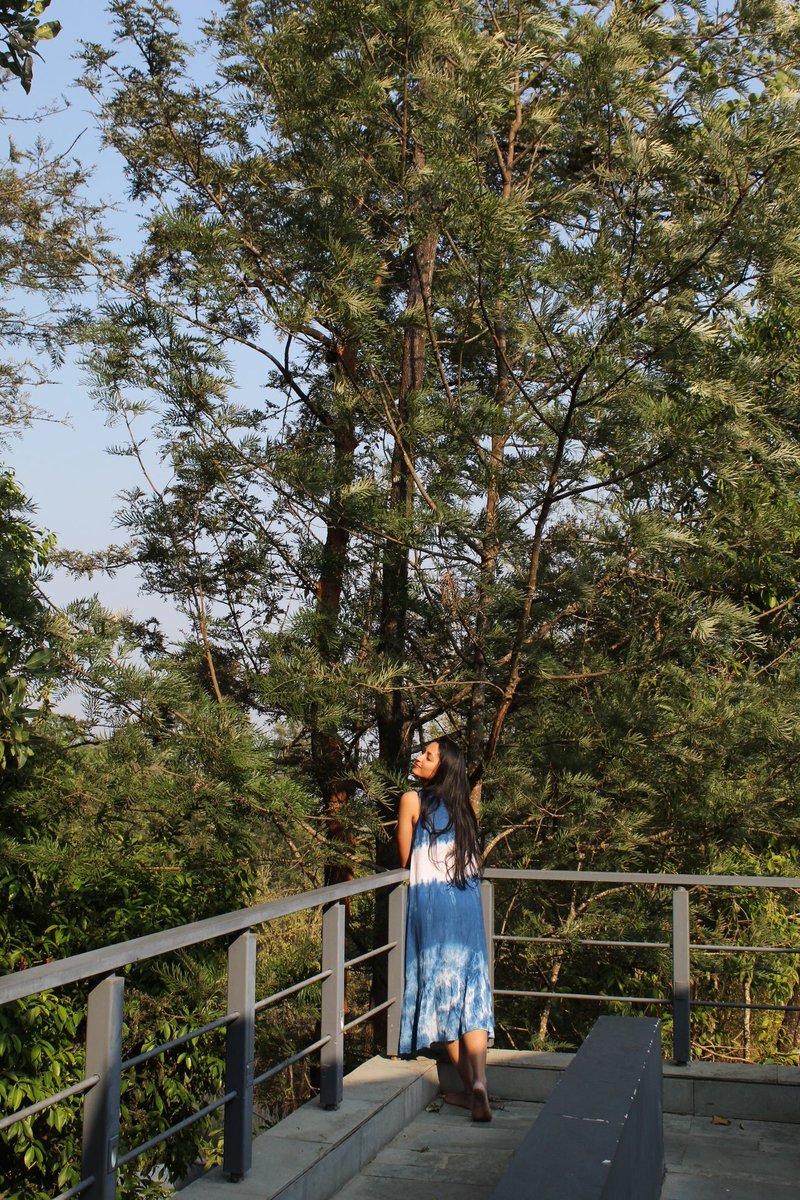 Srinidhi Shetty tweet media