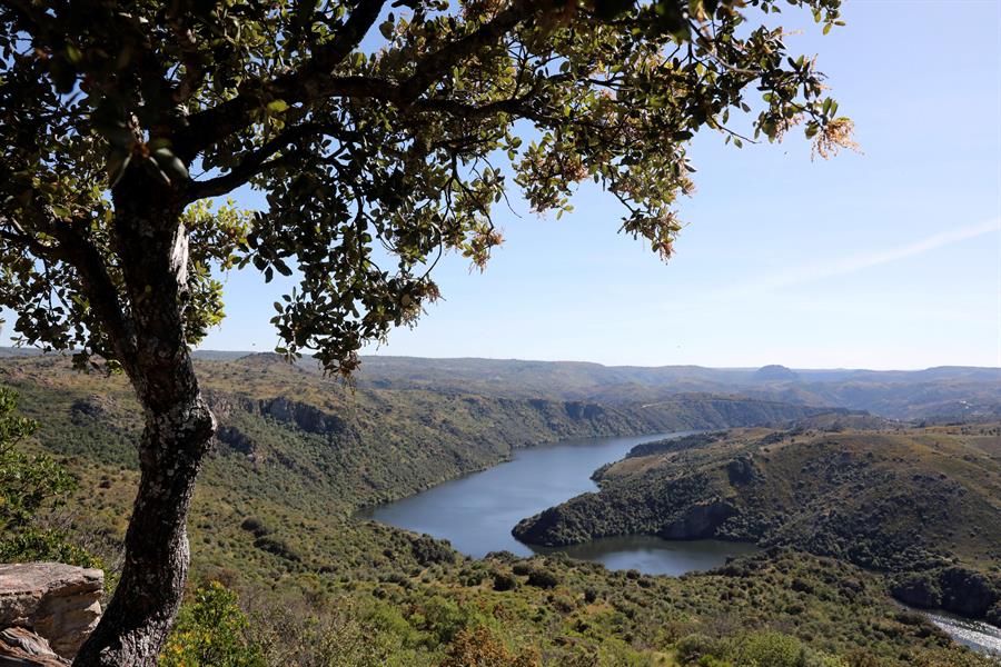 Efeagro's tweet photo. TURISMO RURAL | 🏡 Recoger residuos mientras se hace deporte o plantar árboles a golpe de click; el viajero rural asume un papel activo con el turismo "regenerativo" una etiqueta que va más allá del turismo sostenible. @sierranortemad @TheReGenLab 

https://t.co/qspsY2OipV https://t.co/E3zKkdQhzE