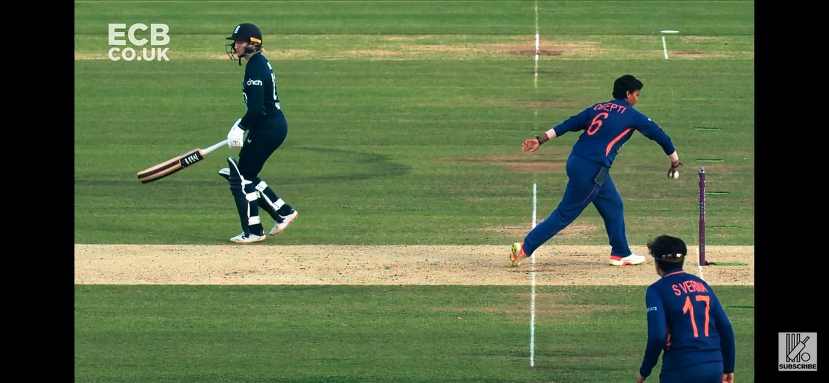 shymanIN's tweet photo. @graceballinger2 @TheCricketerMag Correct Picture ✅✔️ https://t.co/qmv4v9xKwQ
