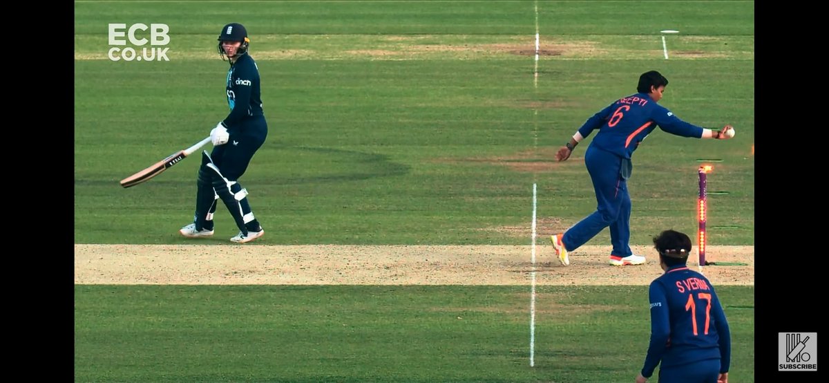 shymanIN's tweet photo. @graceballinger2 @TheCricketerMag Correct Picture ✅✔️ https://t.co/qmv4v9xKwQ