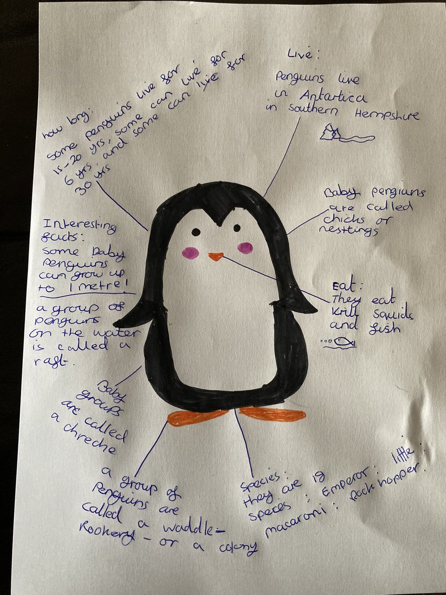mden320's tweet photo. @Hadrian_Park  #5BAspiringAnacondas. Here is Neve’s Penguin fact file! https://t.co/S03vCWvtsb