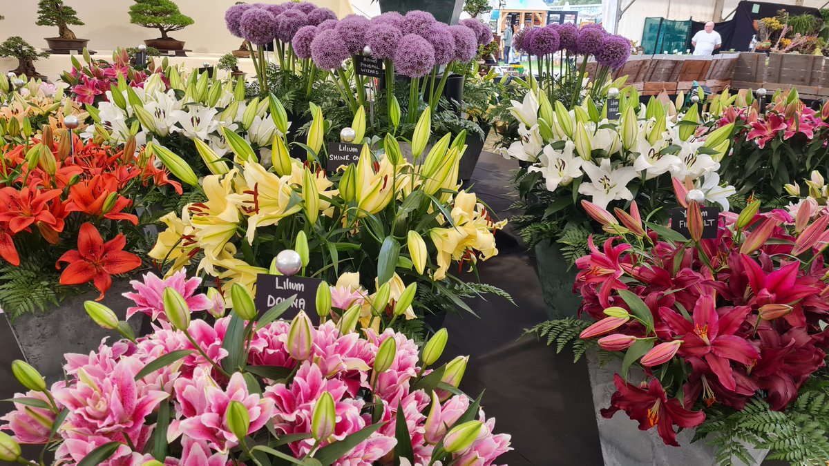 grow_mad's tweet photo. Some of our Malvern Autumn Show highlights... #allotment #GYO #kitchengarden #gardening #organic https://t.co/bQcWx7uxq8