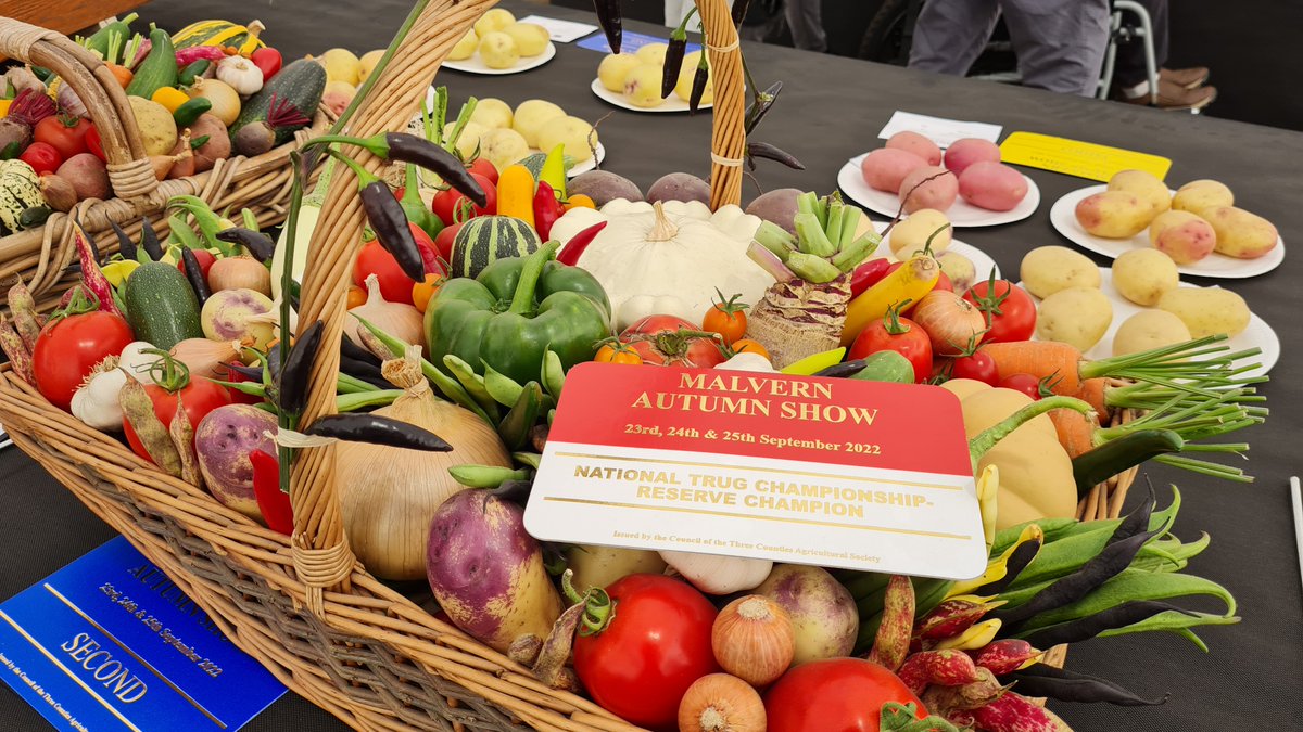 grow_mad's tweet photo. Some of our Malvern Autumn Show highlights... #allotment #GYO #kitchengarden #gardening #organic https://t.co/bQcWx7uxq8