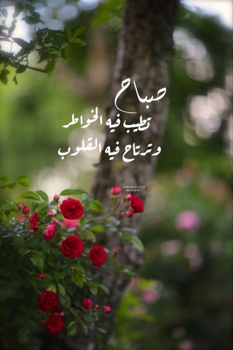 @Monukh4786 <a href="/al_njom_groups/">@al_njom_groups</a> <a href="/m_saad66/">Dr.Mahmoud</a> <a href="/_1aref_/">فهد احمد عارف 🔥🏌600</a> <a href="/MBlkheur/">منصور بلخير</a> <a href="/far9e1/">ELLIPAL HELP CENTER</a> @AlrosaSantander <a href="/Saleh_talleb/">S. T. س ل ا /م ا ت.</a> <a href="/yasraliw/">ياسر علي</a> <a href="/Nevertitivip/">Ojjo الخاص 🚫 ⛔️</a> <a href="/Hmm_833/">🇸🇦آمال🇸🇦</a> <a href="/Mahmoud67804055/">mah68</a> @So3bhy <a href="/8_v_v/">𝑵𝒆𝒔𝒎𝒂 ツ</a> @1so0_i @_Bo09 <a href="/aladine05/">🅰️LADINE</a> صباح النور ،،مع الشكر الجزيل ،،
#قروبات_نجوم_الدعم_والاضافات