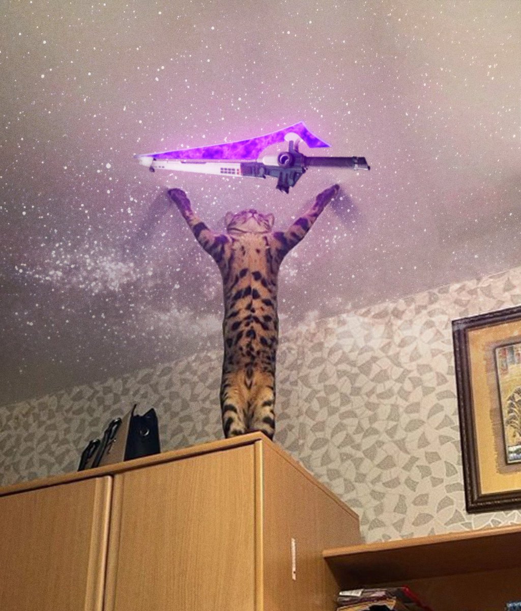 oddmb_'s tweet photo. editing the other half to cat pics everyday until I forget #16 https://t.co/iXQbbC9QcC