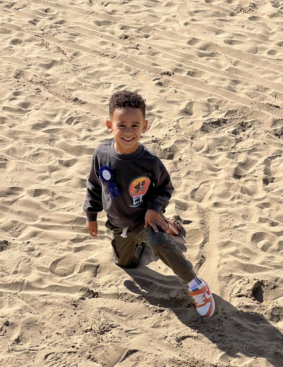 Julia organ tweet media