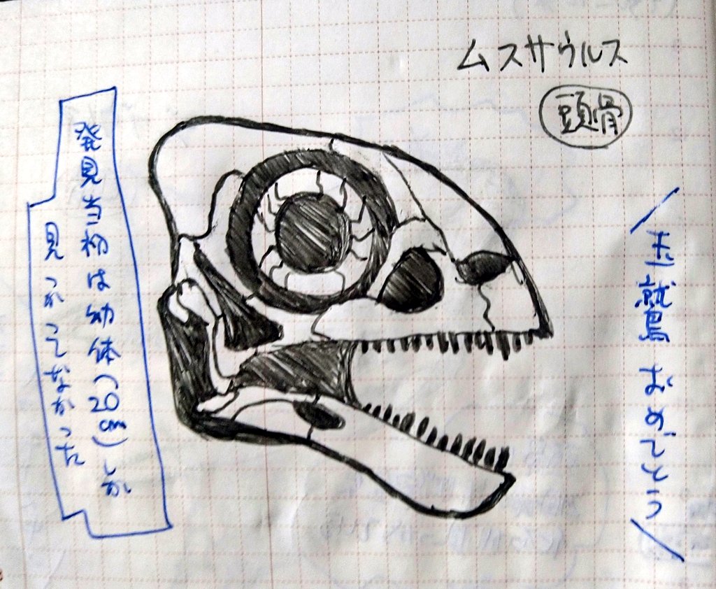 ONOZOO_KA's tweet photo. #恐竜チャレンジ 840日目
#ムスサウルス
#DinosaurChallenge DAY840
#Mussaurus

もう成体も見つかっているので、ネズミとは言えない三畳紀の恐竜。

せっかく天気がいいのに何もしてない一日。勿体無いというか贅沢というか。

さて、このあとの神宮はどうなるかな。 https://t.co/0W9k3pNWxK