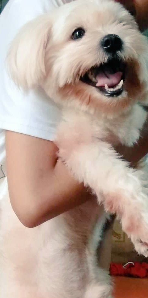 BerlingtonDiary's tweet photo. Baby ko pogi https://t.co/U5qpexVWEm