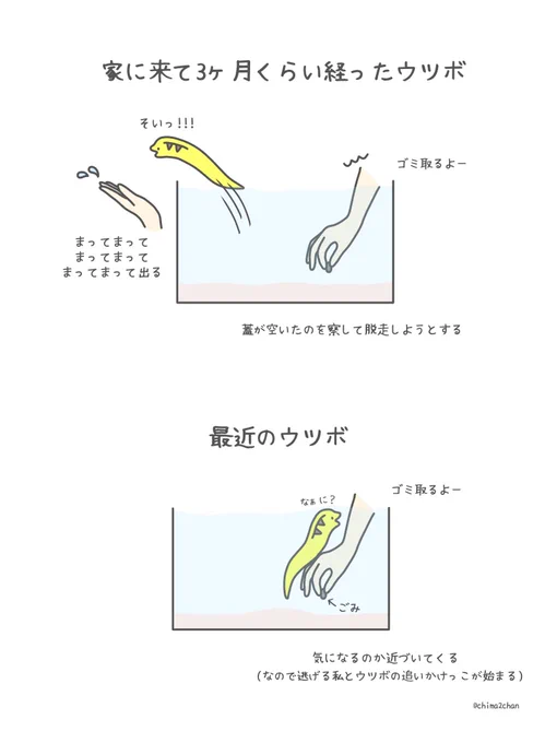 水槽のゴミを取る時のウツボの違い 