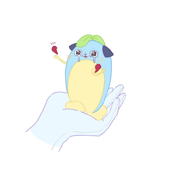 画像まとめ まめねこ 14ページ目 アニメレーダー