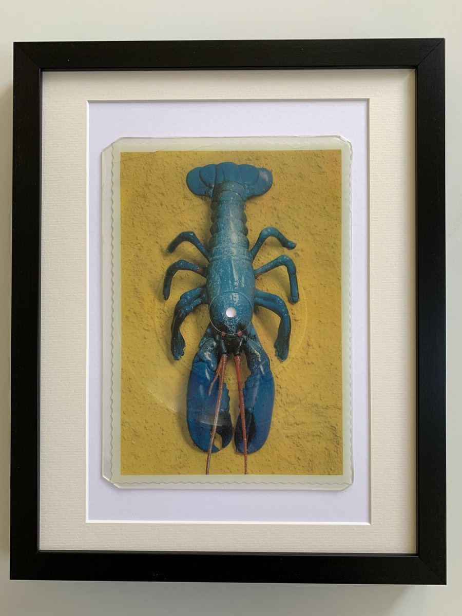 My1stRecord's tweet photo. It's #nationallobsterday🦐 and look what's hanging on the wall in our holiday home in "Smiley Filey"😎
A fab #picturediscvinyl by the #B52s
#picturedisc #picturediscs #picturedisclover #picturediscsingle #picturediscrecord #vinyl #vinylrecords #vinyladdict @OfficialFiley https://t.co/rUzFAt65xV