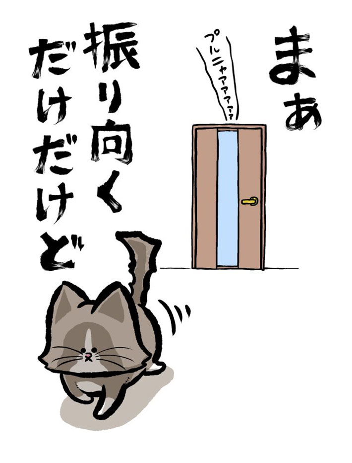 家の中を縦横無尽に駆け回る猫 ピタリと動きが止まって? https://t.co/axJIsz5rtR @grapeejpより 