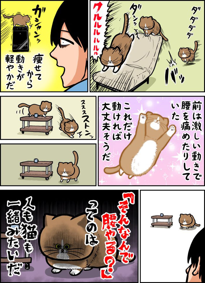 家の中を縦横無尽に駆け回る猫 ピタリと動きが止まって? https://t.co/axJIsz5rtR @grapeejpより 