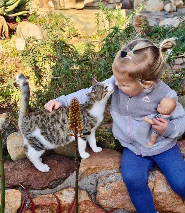 AfricanSafariC2's tweet photo. 📍Pakamisa Game Reserve
Children welcome at Pakamisa lodge! Our horses, cats and dogs become their friends during their stay with us. 😀
.
.
.
#pakamisagamereserve #familyholiday #childrenwelcome #horses #vacationwithhorses #africansafaricollective #weloveanimals https://t.co/avFghB0uSG