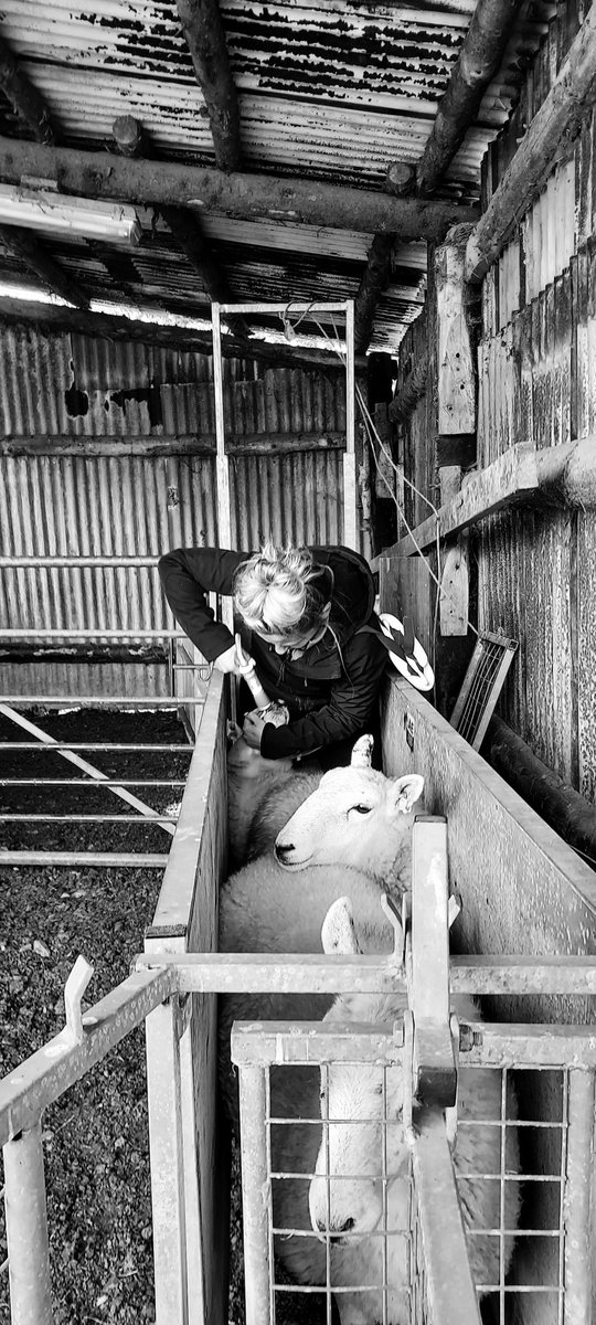 Nothing like abit of quality time on a Sunday <a href="/carlsmsx/">Carly Smith</a>