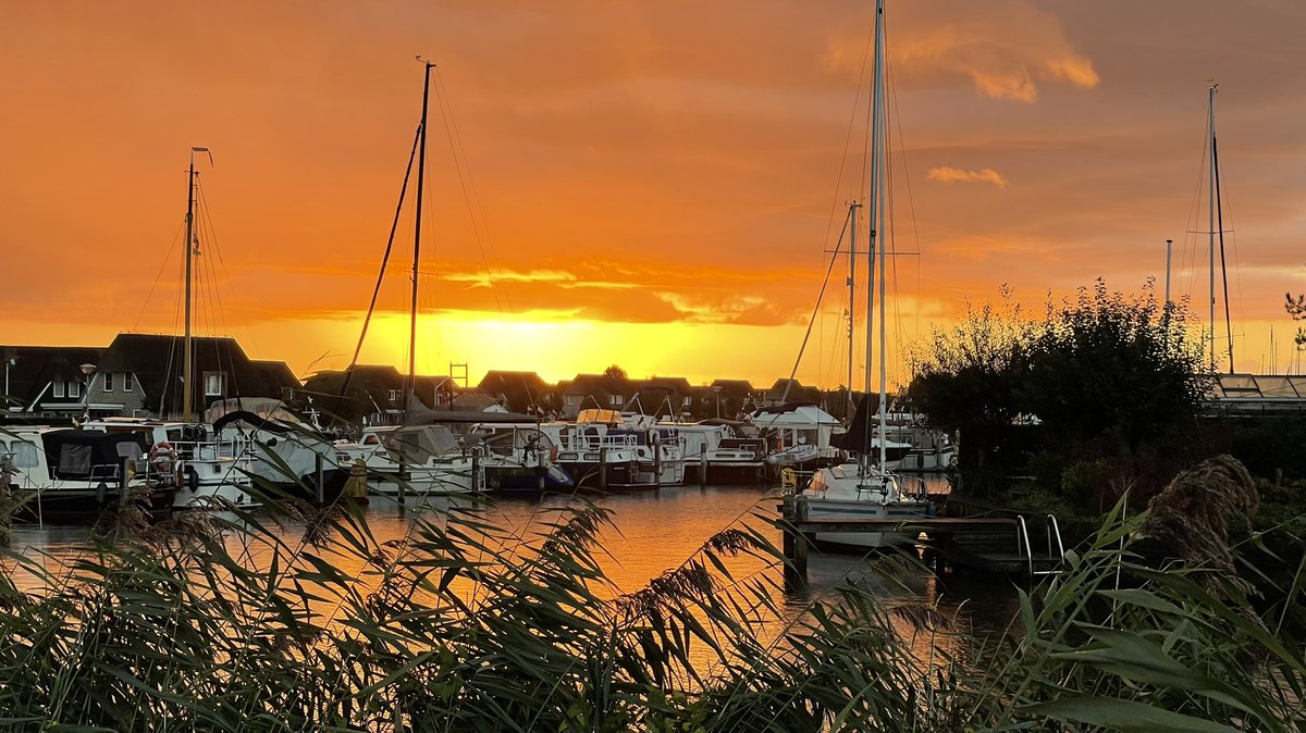 Wat een cadeautje weer vanochtend. #friesland #walkingthedog #morgenstond