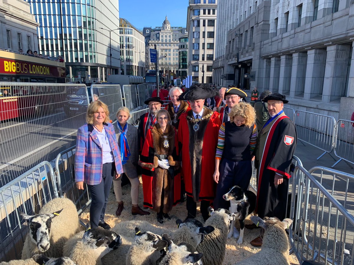 GowmanAJ's tweet photo. Enjoyed the @SheepDriveLDN today with @TheWoolmen. Led by @citylordmayor w @katehumble. Visited @WheelwrightsWC @LondonFire #Dowgate @UpholdersLivery @RomneyTweed @finecellwork https://t.co/1i6Nuk3R8u