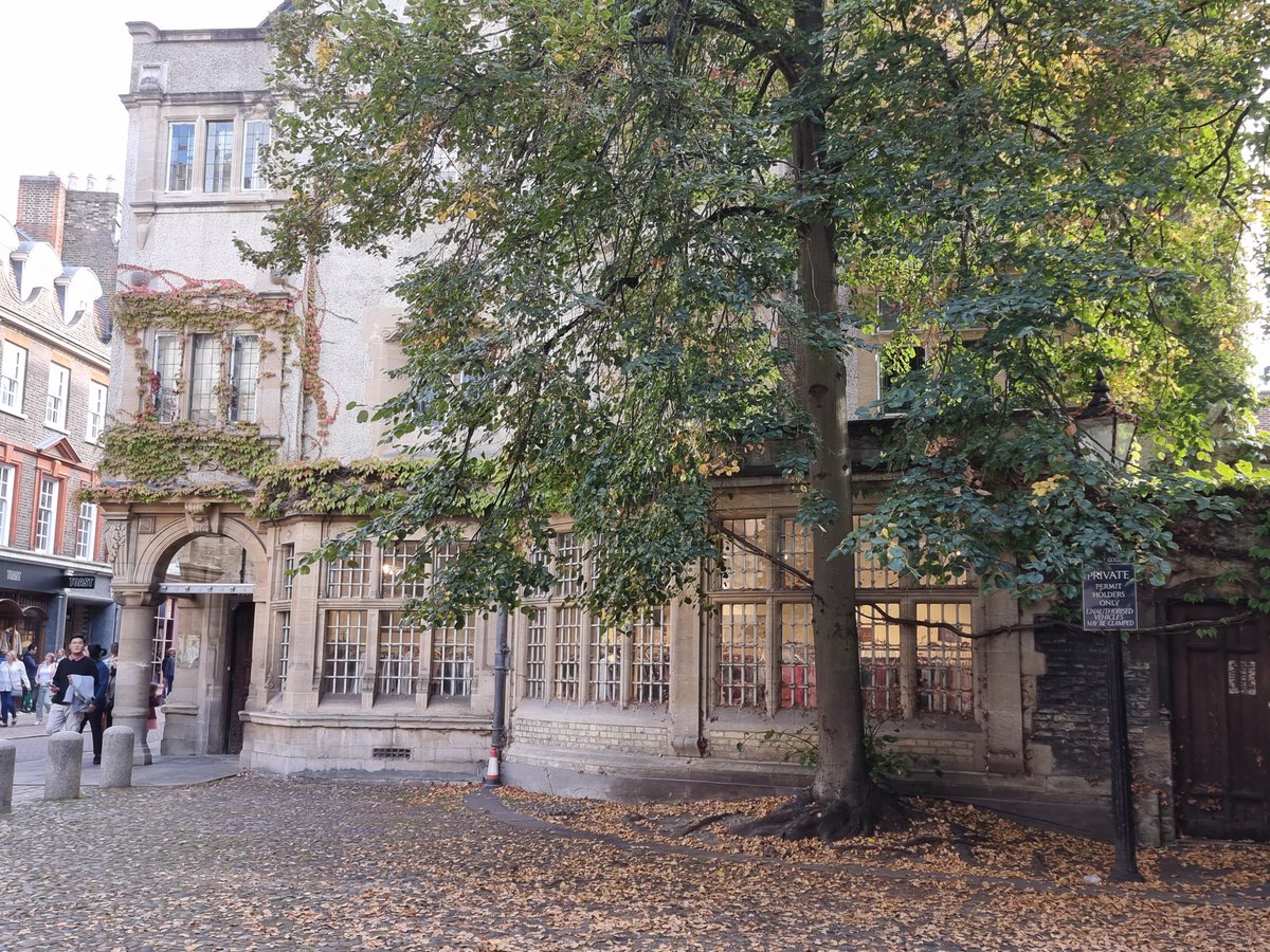 GherghisanM's tweet photo. #Cambridge #nostudents #nopets #cambridgeaccommodation https://t.co/iQIxL2gwMA