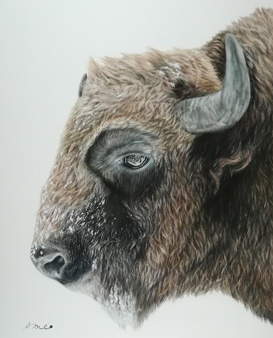 牛のtwitterイラスト作品