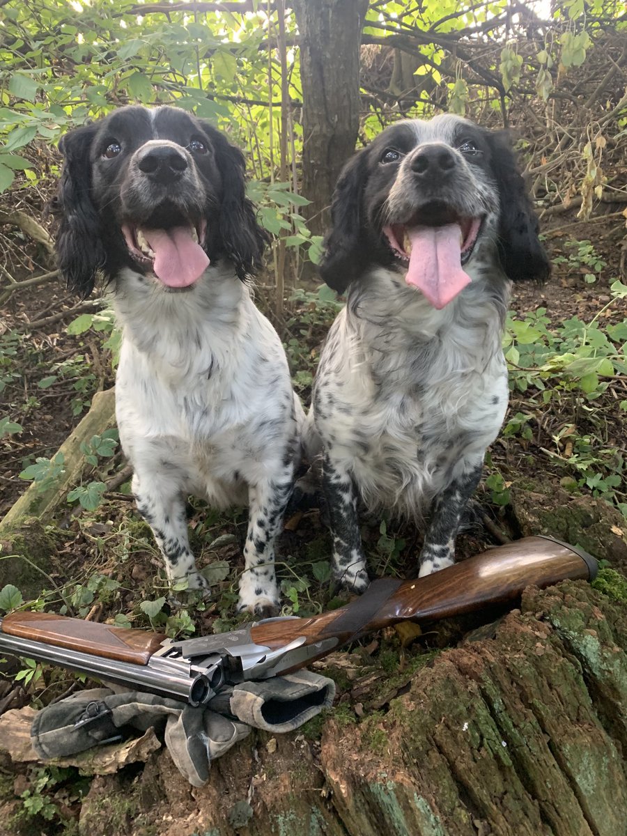 mark_rowbottom's tweet image. Everyone have a good Sunday 🐾👍🚜