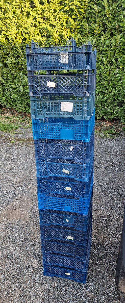 🌱Lovely_Plot 💅🇵🇱🇬🇧🪷🐞🐝 tweet media