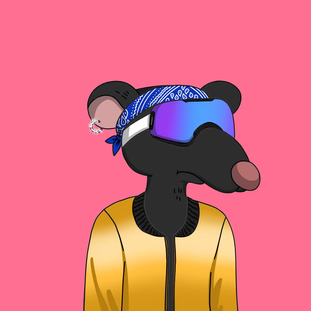 coolhunter_eth's tweet photo. My Rat got himself a Cat ❤️❤️ https://t.co/bTGlAMo74A
