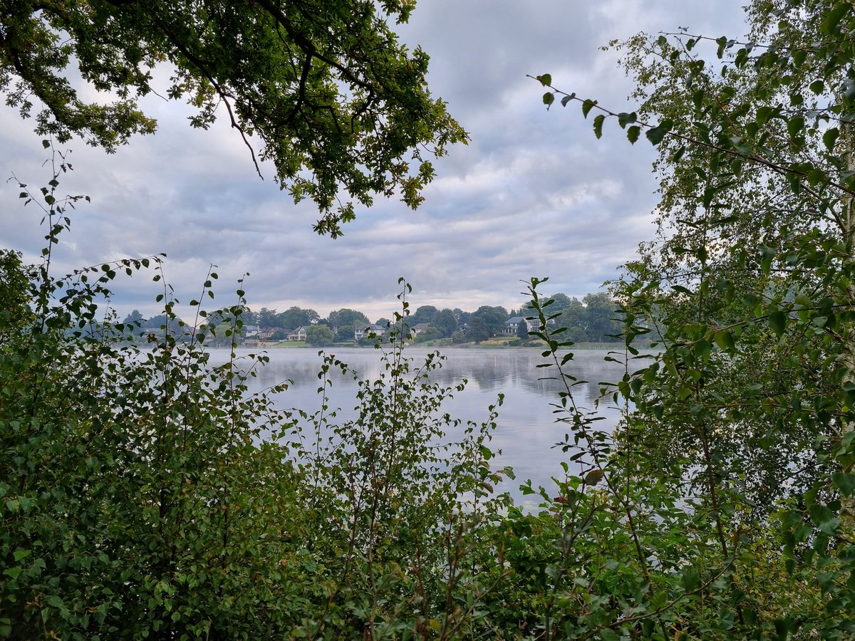 Wonderful early morning swim at The Mere this morning, organised by the good people at @UswimOpenwater. The mist was majestic. #openwaterswimming