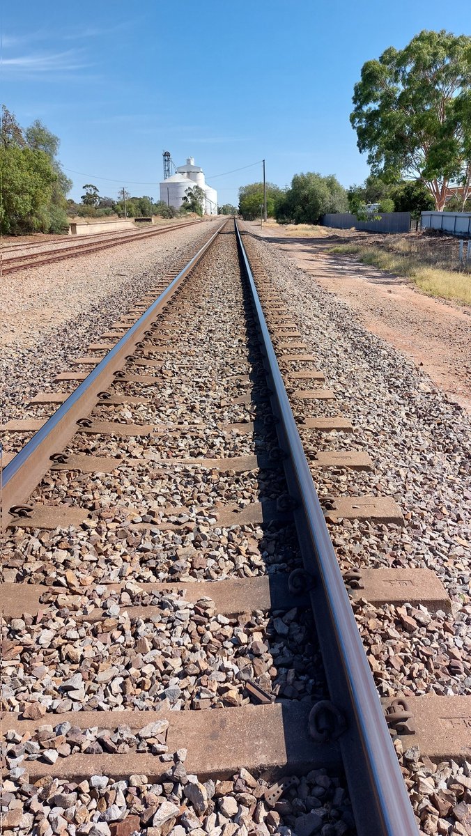 pfwaus's tweet photo. Grain storage silos beside the railway lines at #CrystalBrook #SouthAustralia #Australia #travel 😷 #TravelOz #ThePhotoHour https://t.co/1v3UdH4KMc