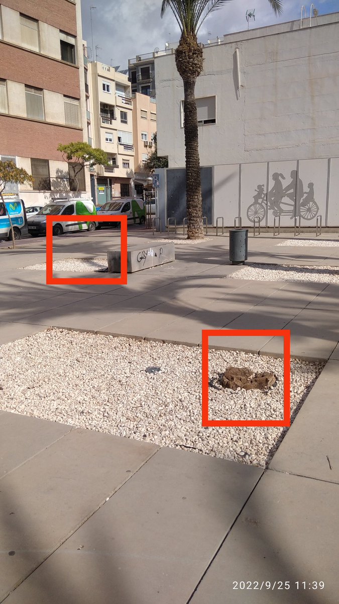 Manolo_GA's tweet photo. No sé si corresponde a @aytoalm, @AndaluciaJunta o @MuseoAlmeria, pero sería interesante reponer las palmeras perdidas en la plaza de entrada al Museo de Almería. Gracias. Un saludo @margaritacoboss @Botania_Almeria https://t.co/P34WTzU5SX