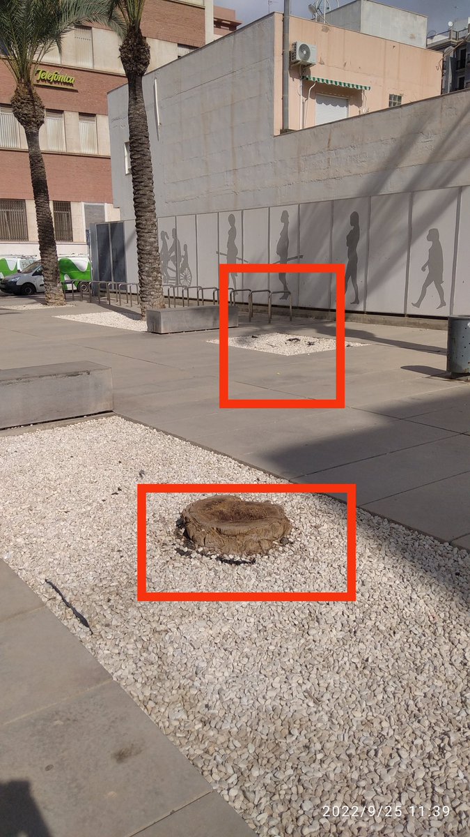 Manolo_GA's tweet photo. No sé si corresponde a @aytoalm, @AndaluciaJunta o @MuseoAlmeria, pero sería interesante reponer las palmeras perdidas en la plaza de entrada al Museo de Almería. Gracias. Un saludo @margaritacoboss @Botania_Almeria https://t.co/P34WTzU5SX