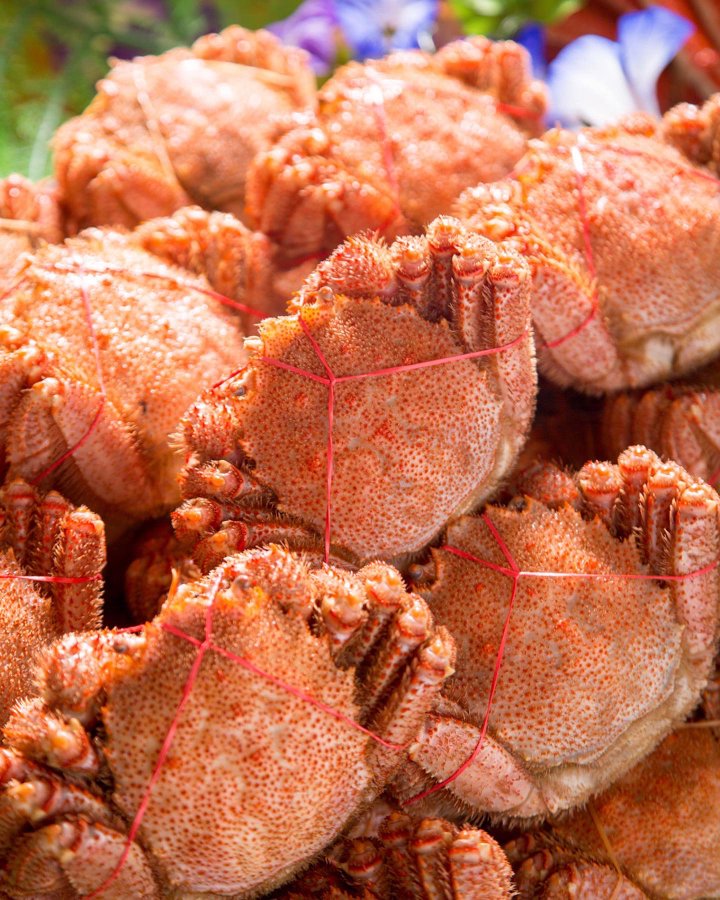 札幌のカニ食べ放題おすすめ店10選 安いランチやホテルも