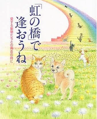 今、愛猫が虹の橋へ向かいました。

明日が葬儀になります。

今まで、本当にありがとう。 